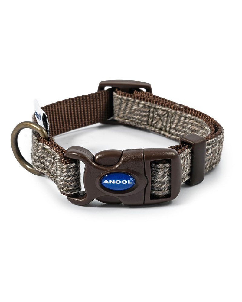 Dog Collars